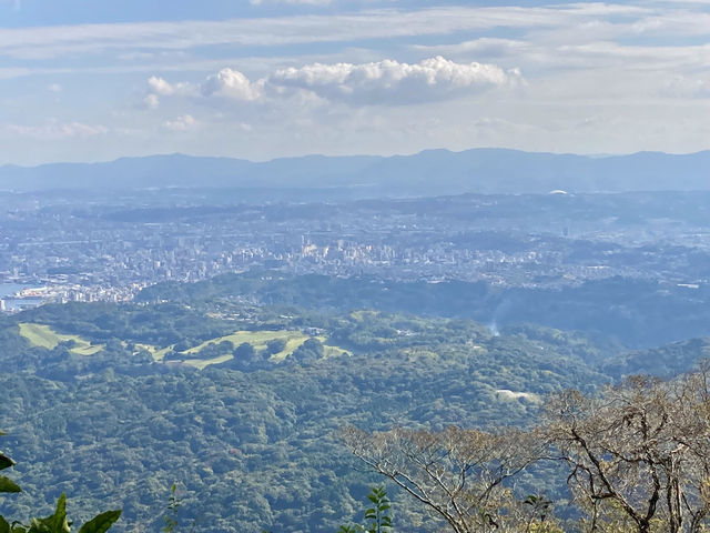 【大分】猿で有名な高崎山の絶景✨