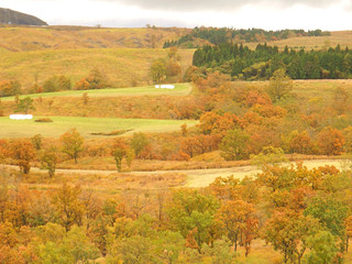 [Kumamoto Prefecture] Mystery of ancient megaliths and spectacular autumn foliage! Oshidoishi Hill