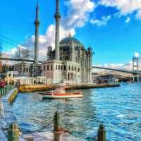 turkey feature Trip 