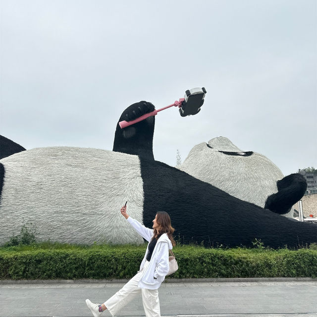Chengdu A place that you will definitely visit again 