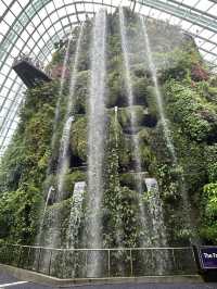 Have fun at cloud forest Singapore ❤️