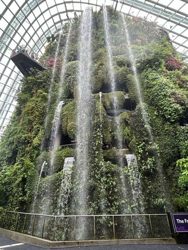 Have fun at cloud forest Singapore ❤️