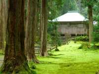 【福井県】兵どもが夢の跡…を感じる苔の名所「平泉寺白山神社」
