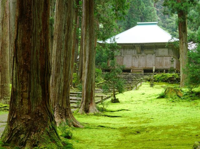 【福井県】兵どもが夢の跡…を感じる苔の名所「平泉寺白山神社」