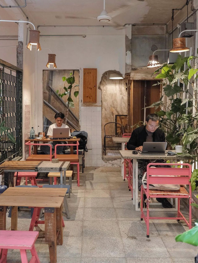 Barista Collective