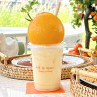 啟德玻璃屋濟洲feel cafe😚