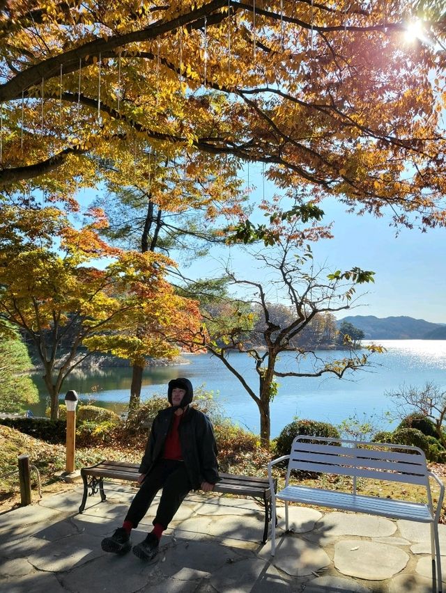 늦가을 만끽하기 좋았던 청주여행
