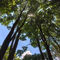 ～福林公園～清新派對～