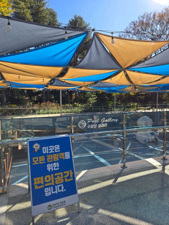 매년 가을이 오면 생각날것 같은 청남대🤎