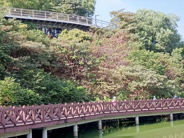 香山湖公園～都市中的綠洲