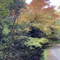 Hoshida Park และ สะพานแขวน Hoshi no Buranko
