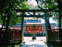#奈良🇯🇵藥師寺#