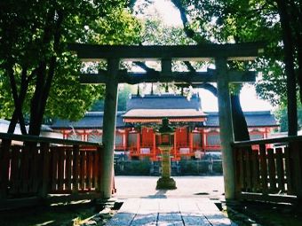 #奈良🇯🇵藥師寺#