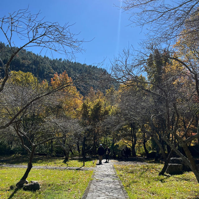 Discover the beauty of Wuling Farm in Taiwan