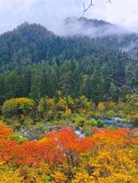 ดูใบไม้เปลี่ยนสีต้องมาที่จิ่วจ้ายโกว🇨🇳🍂🍁