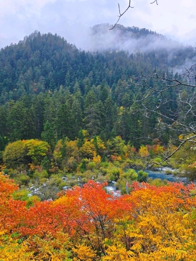 ดูใบไม้เปลี่ยนสีต้องมาที่จิ่วจ้ายโกว🇨🇳🍂🍁