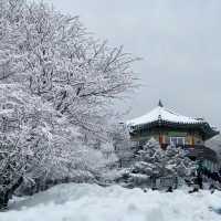 Winter Wonderland: Hiking Hallasan in Jeju’s Snowy Embrace