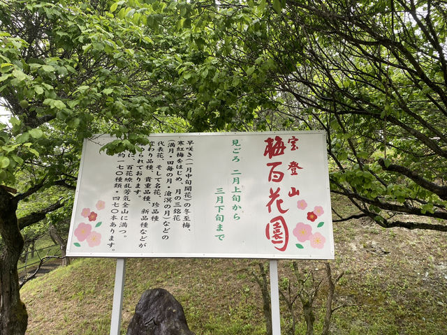 寶登山臘梅園