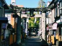 佐賀🇯🇵 嬉野溫泉