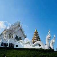 Finding Peace at Wat Huay Pla Kang