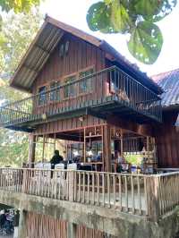 Huanam Mushroom Farm