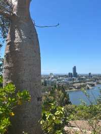 Perth 必去兩大景點～Perth 偶遇周杰倫同款藍色小屋 💙 Kings Park and Botanic Garden 國王公園