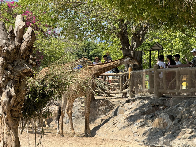 KING'S GARDEN