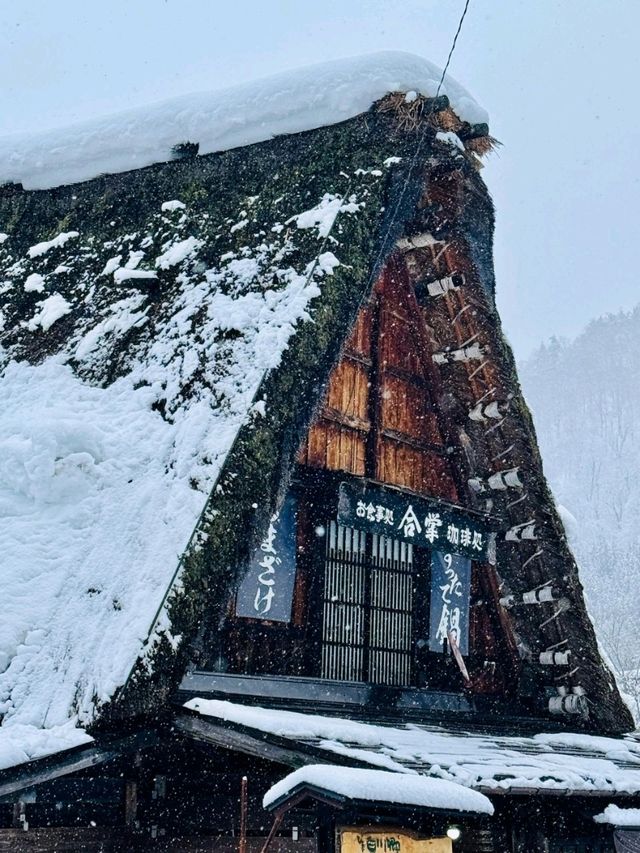 A Magical Snowy Escape