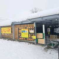 北海道旅遊🥳四季彩之丘雪景打卡熱點💓自駕雪車體驗分享🛞