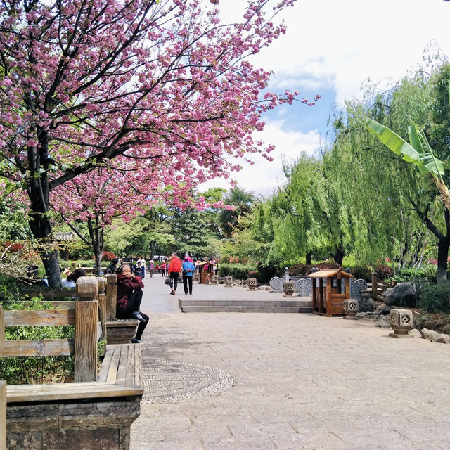 Timeless Streets and Artistic Treasures of Lijiang Timeless Streets and Artistic Treasures of Lijiang