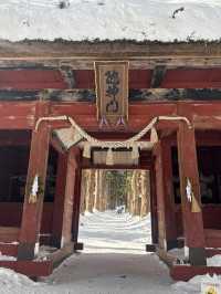 冬の戸隠神社奥社への参道❄️神秘の雪景色に包まれる旅