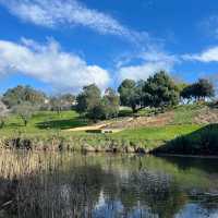 Richmond Bridge tasmania