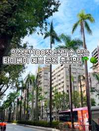 인생샷 100장은 거뜬히 남기는 타이베이 예쁜 공원 총집합!🌳🌴
