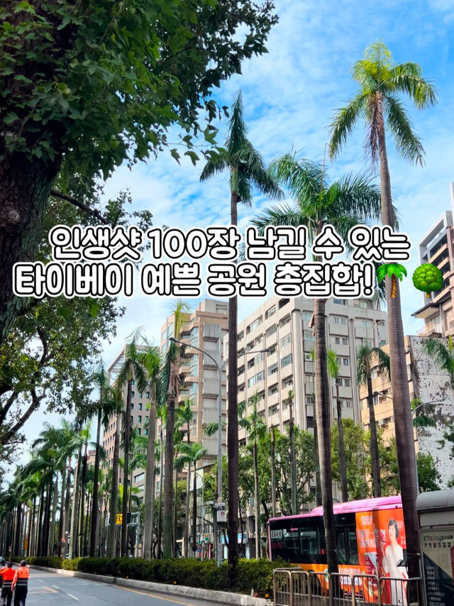 인생샷 100장은 거뜬히 남기는 타이베이 예쁜 공원 총집합!🌳🌴