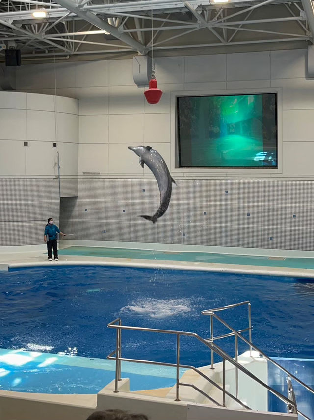 【鹿児島】 いおワールドかごしま水族館🦭