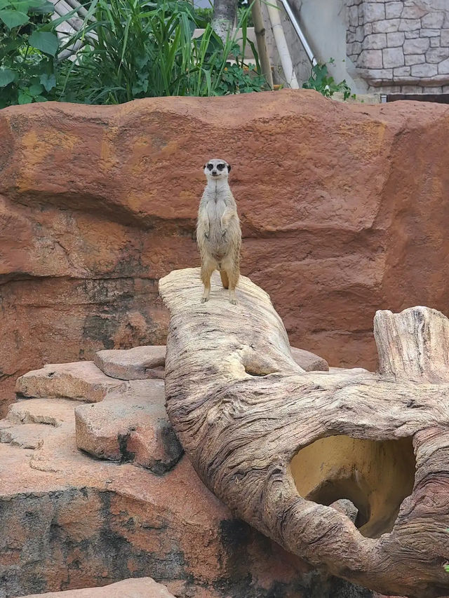 Ocean Park in Hong Kong