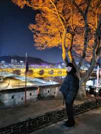 야경이 아름다운 진주의 명소 진주성