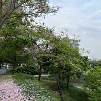 台灣類似中央公園
