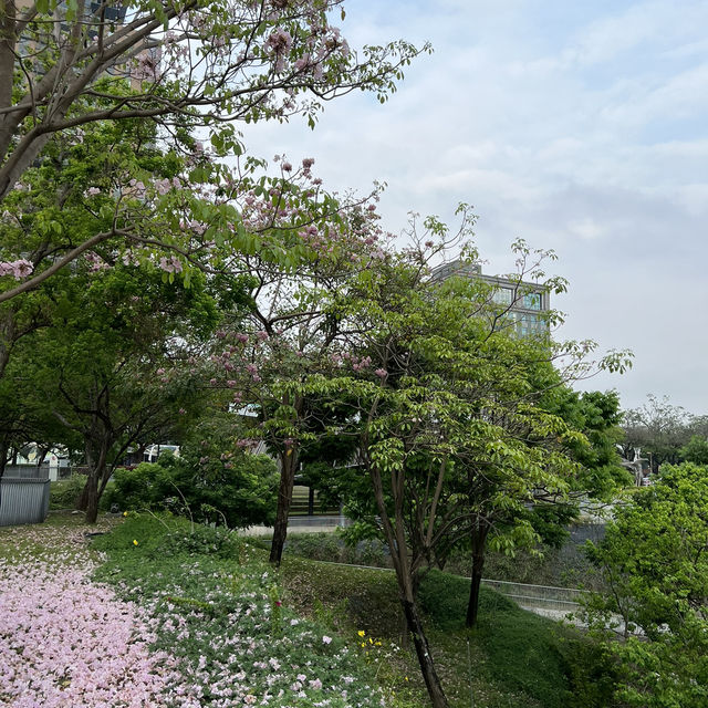 台灣類似中央公園
