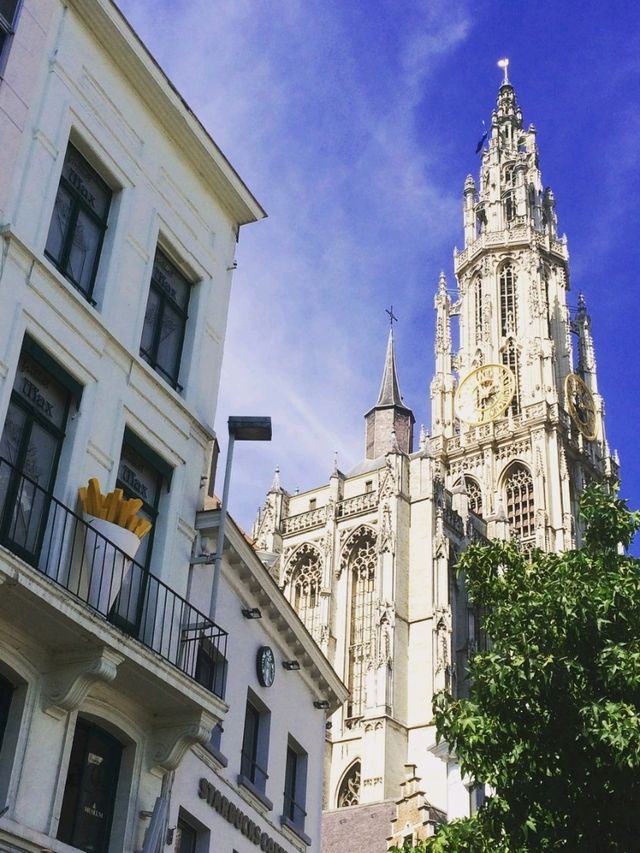 ベルギー🇧🇪アントワープ　聖母大聖堂はフランダースの犬の舞台!!
