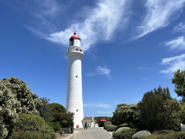 🇦🇺 澳洲墨爾本寶石海燈塔💎