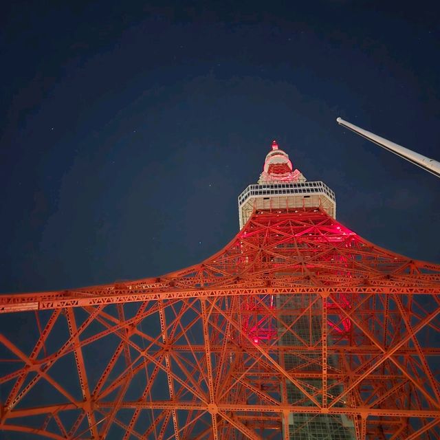 東京タワー夜景散歩：煌めく東京の象徴を巡る旅