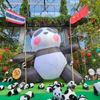 ตื่นตาตื่นใจกับแพนด้ากว่า3000ตัว