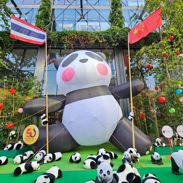 ตื่นตาตื่นใจกับแพนด้ากว่า3000ตัว