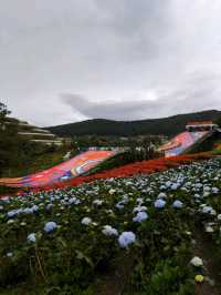 Da Lat - Vietnam's Hidden Gem