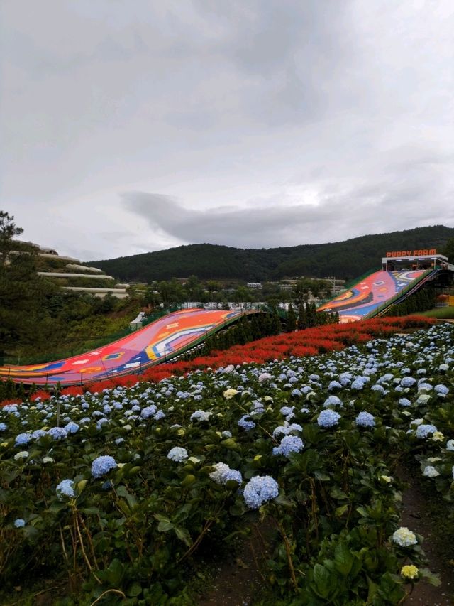 Da Lat - Vietnam's Hidden Gem