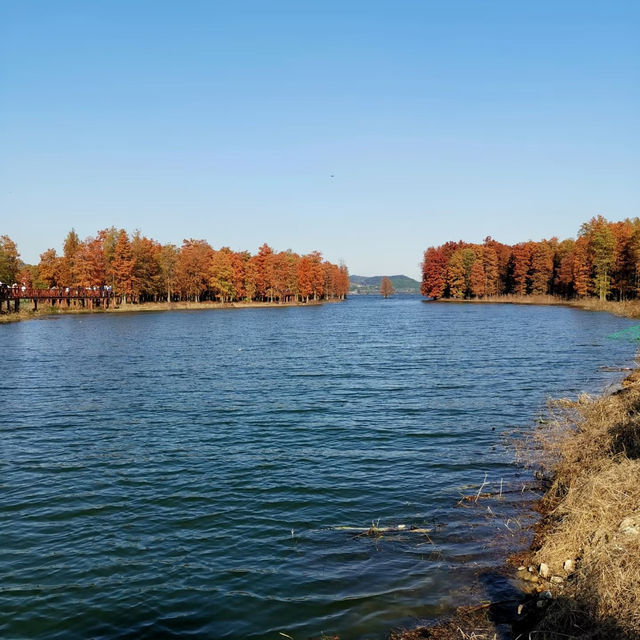 金鐘湖公園•靈氣山水