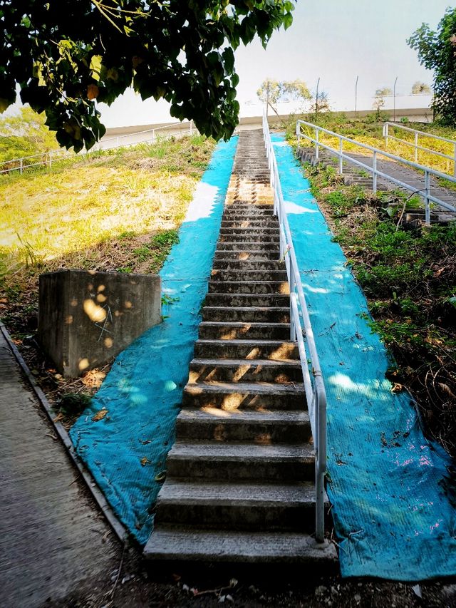 香港郊遊：大嶼山大陰頂(試新路)