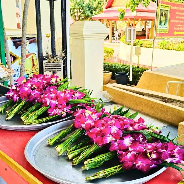 🤩 วัดไชโยวรวิหาร หรือวัดเกษไชโย