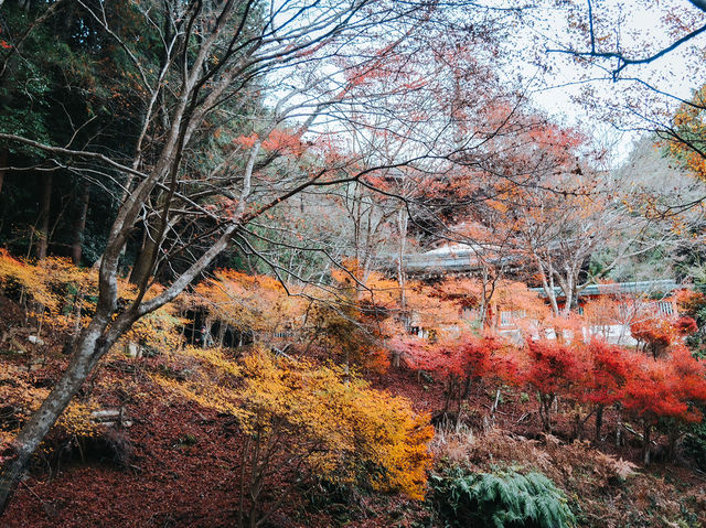  Jingo-ji 